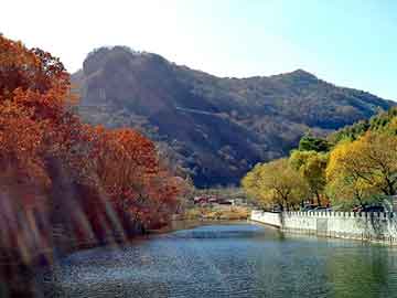 澳门一肖一码一待一中，黑龙江旅游职业学院